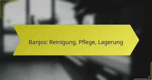 Banjos: Reinigung, Pflege, Lagerung