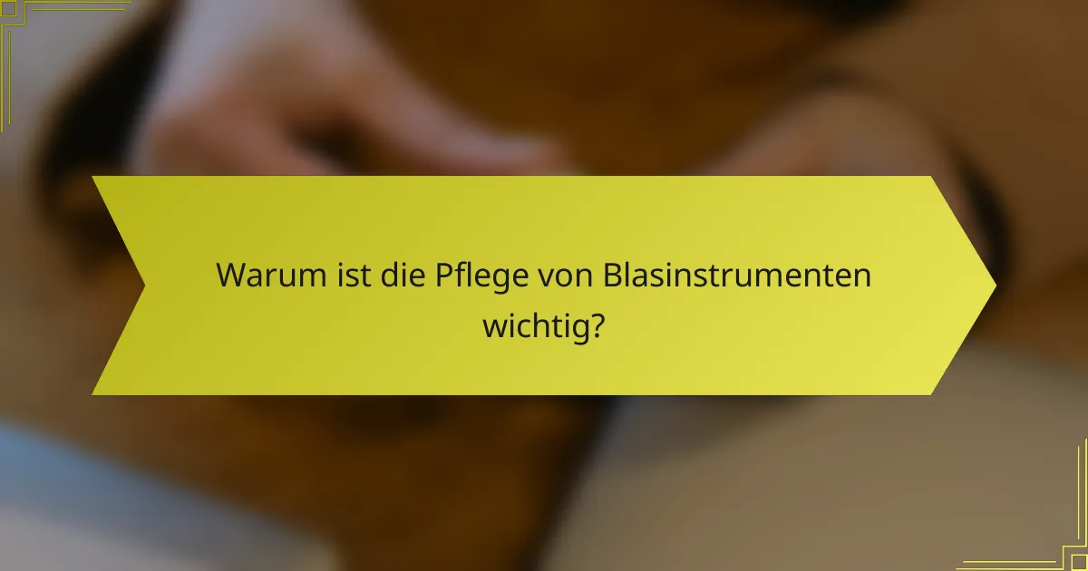 Warum ist die Pflege von Blasinstrumenten wichtig?