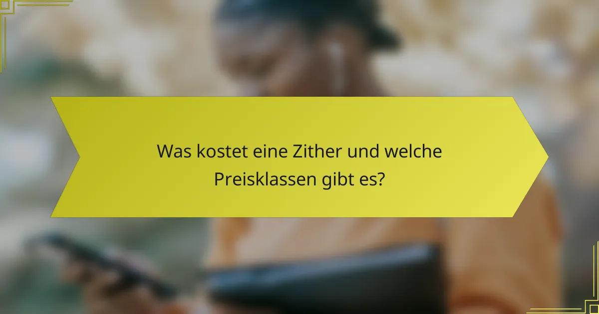 Was kostet eine Zither und welche Preisklassen gibt es?