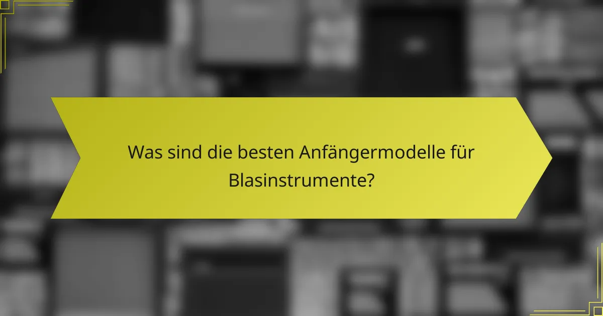 Was sind die besten Anfängermodelle für Blasinstrumente?