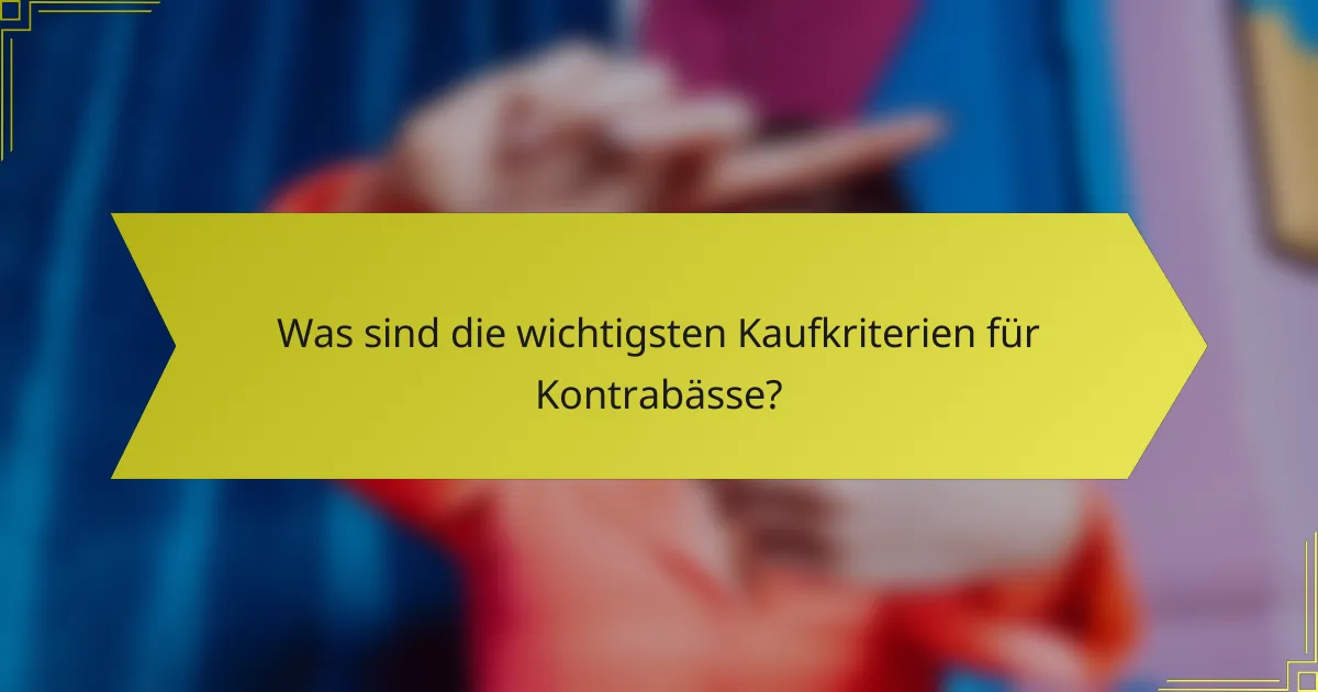 Was sind die wichtigsten Kaufkriterien für Kontrabässe?