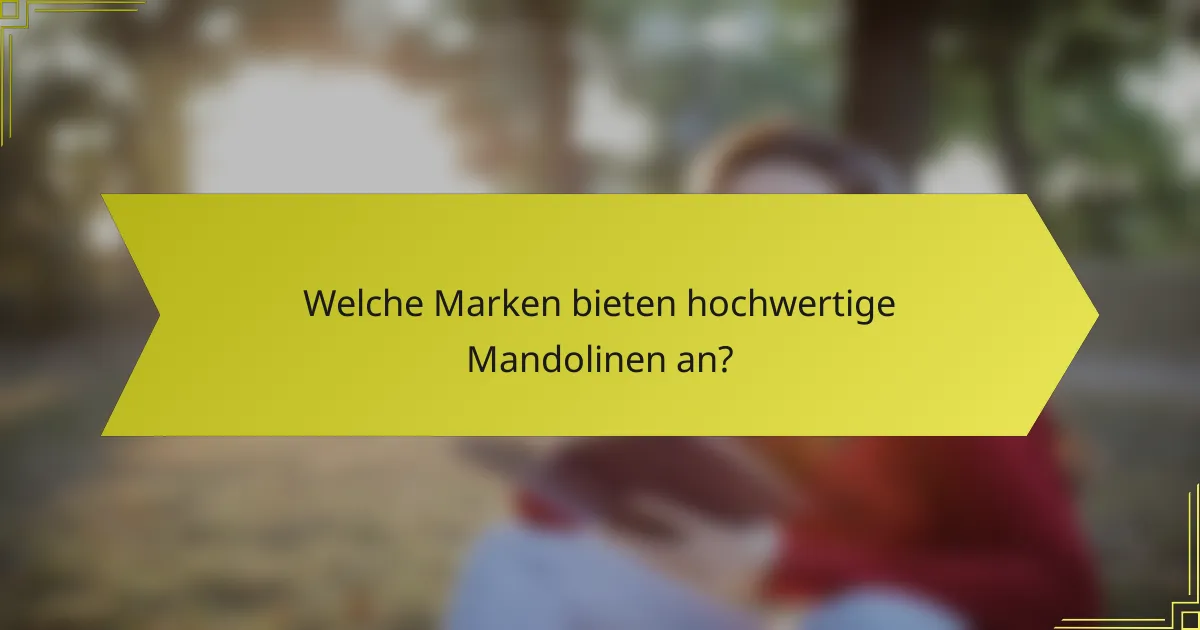 Welche Marken bieten hochwertige Mandolinen an?