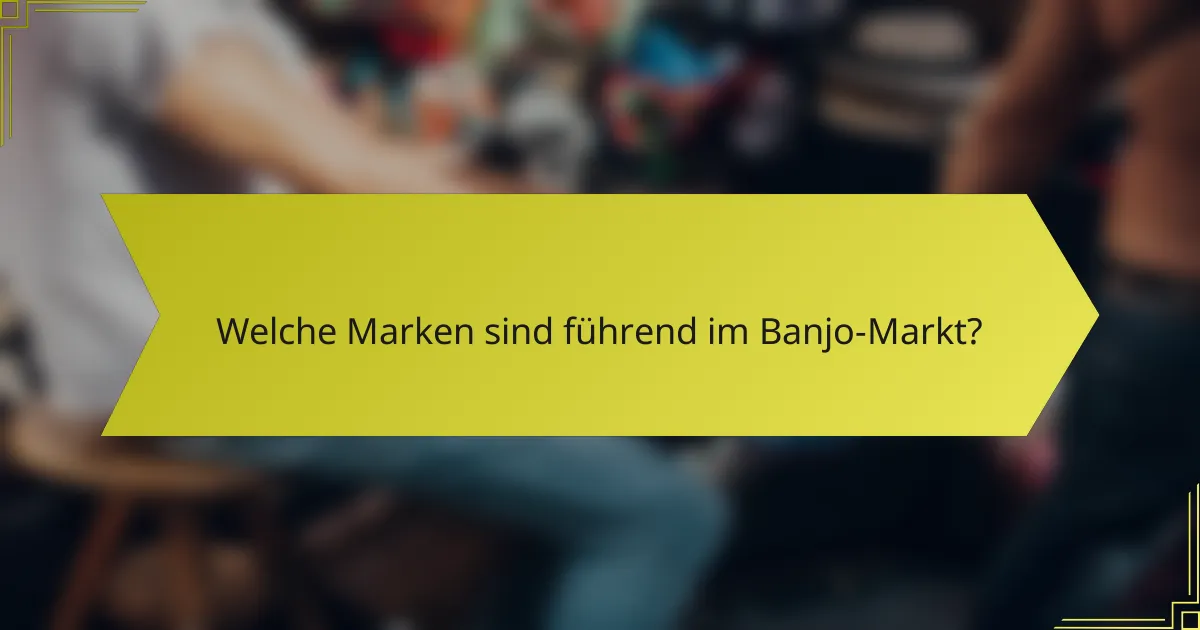 Welche Marken sind führend im Banjo-Markt?