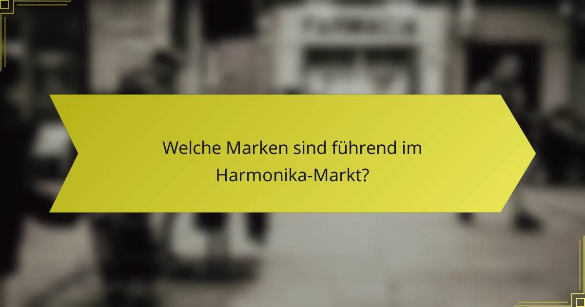 Welche Marken sind führend im Harmonika-Markt?