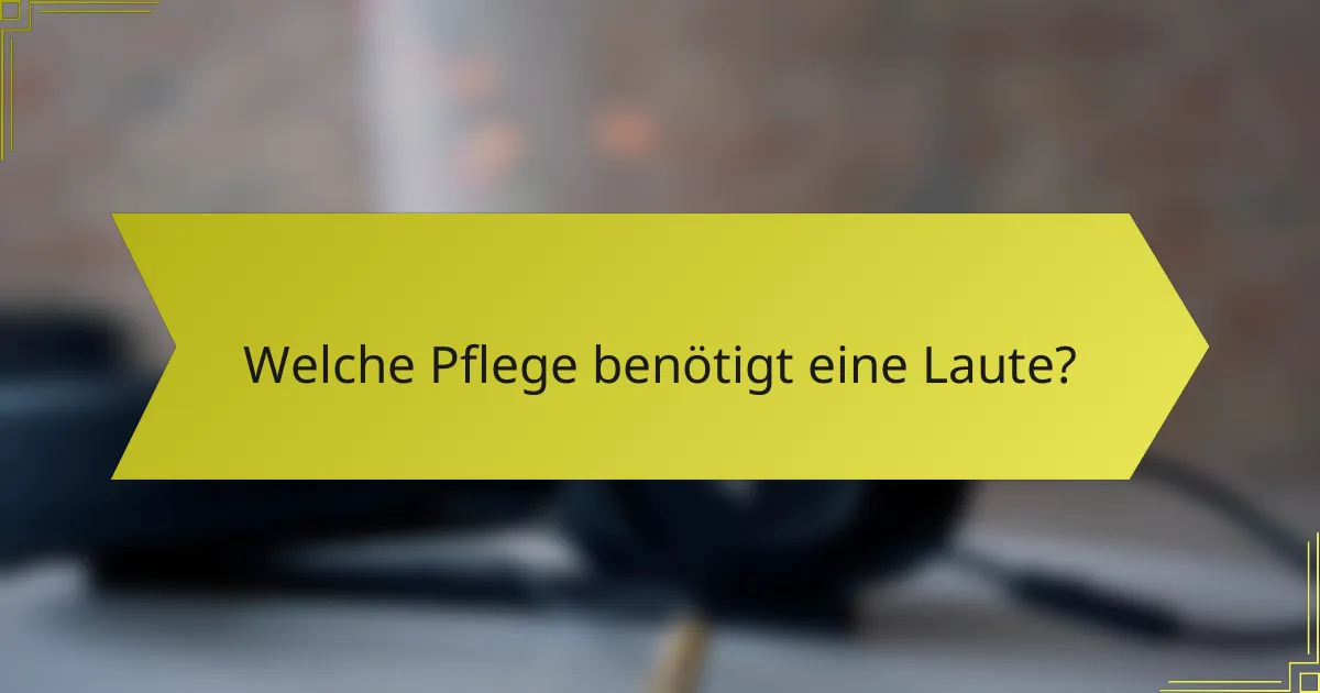 Welche Pflege benötigt eine Laute?