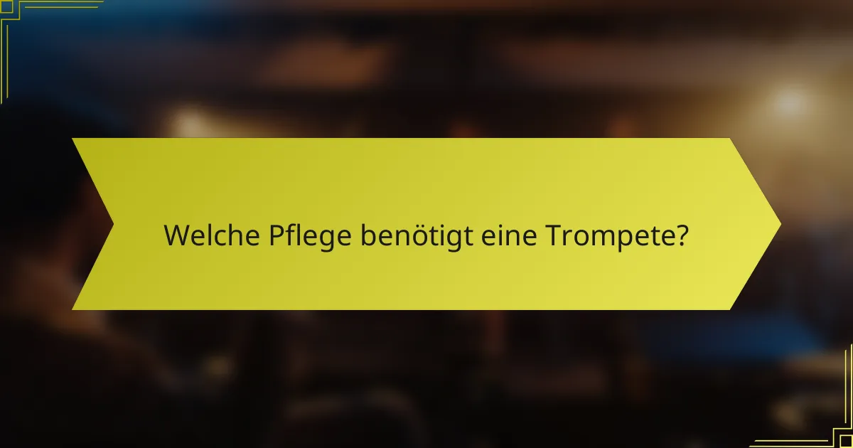 Welche Pflege benötigt eine Trompete?