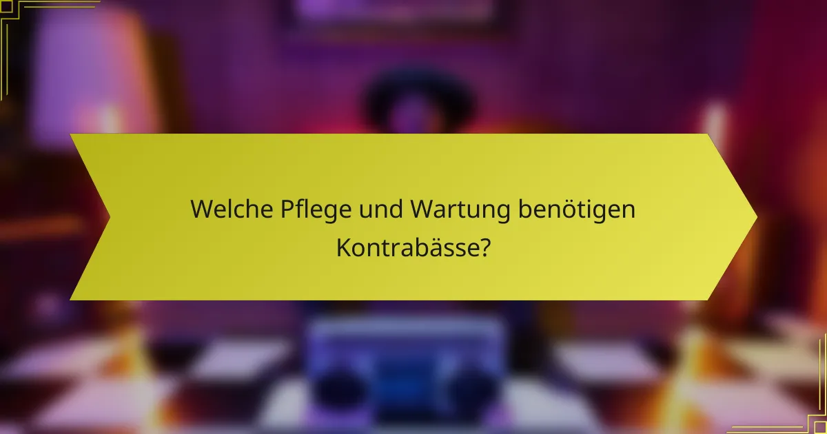 Welche Pflege und Wartung benötigen Kontrabässe?