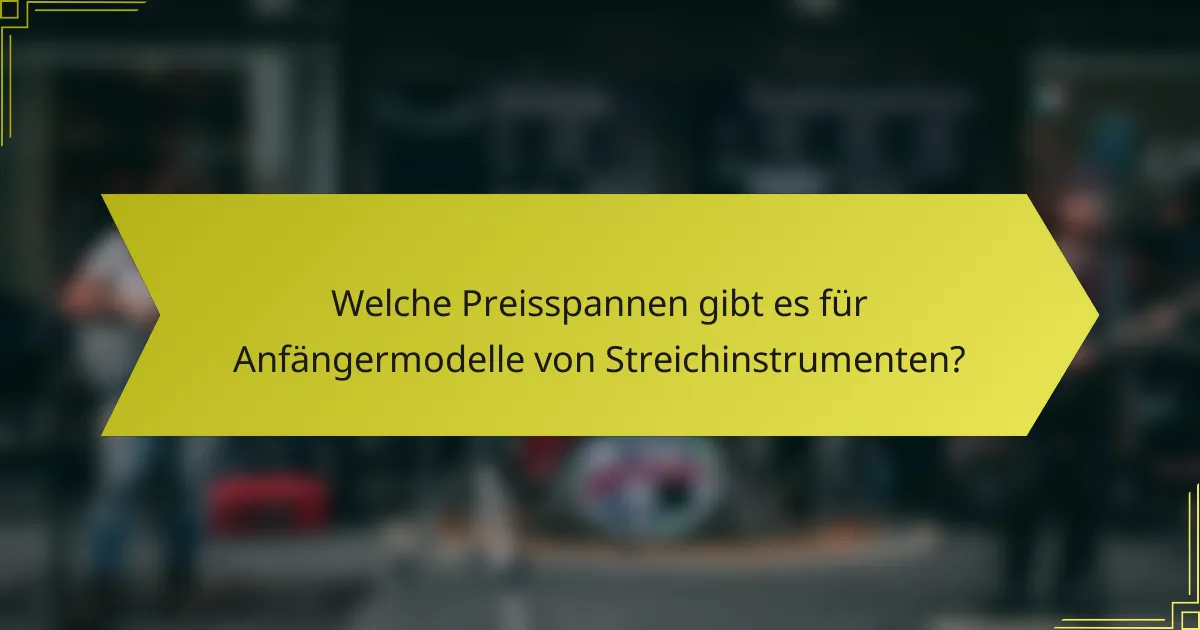 Welche Preisspannen gibt es für Anfängermodelle von Streichinstrumenten?