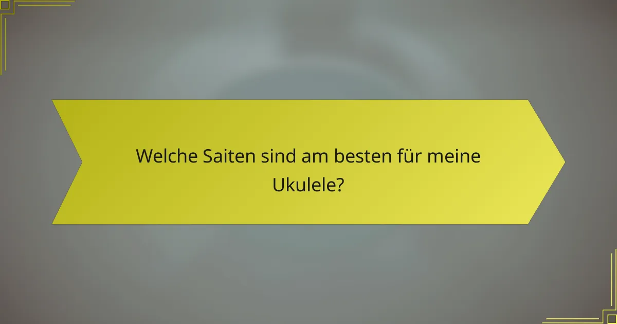 Welche Saiten sind am besten für meine Ukulele?