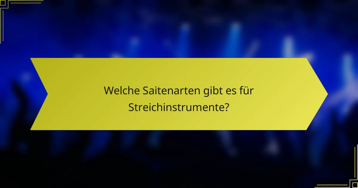 Welche Saitenarten gibt es für Streichinstrumente?