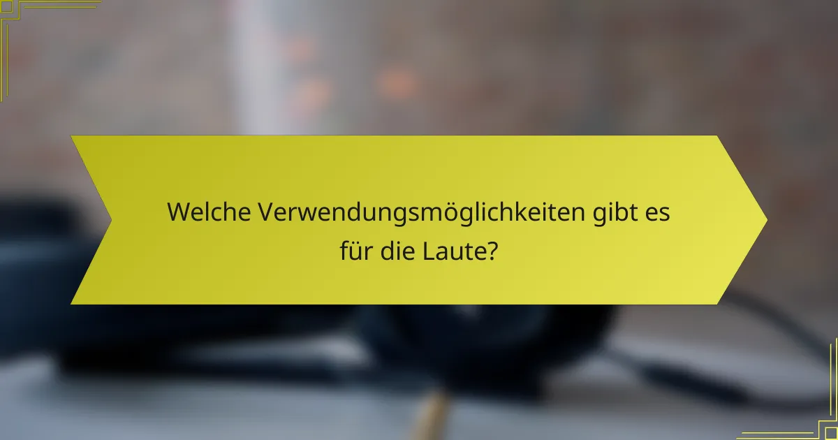 Welche Verwendungsmöglichkeiten gibt es für die Laute?