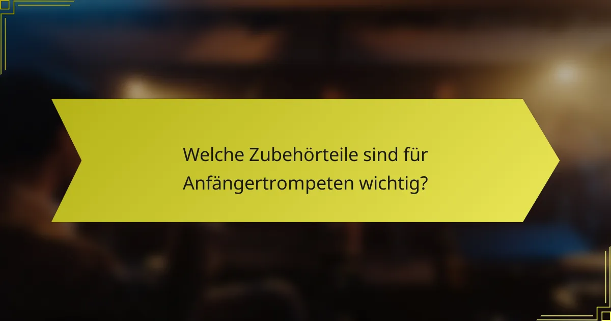 Welche Zubehörteile sind für Anfängertrompeten wichtig?