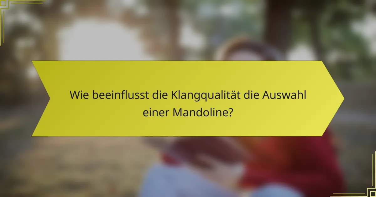 Wie beeinflusst die Klangqualität die Auswahl einer Mandoline?