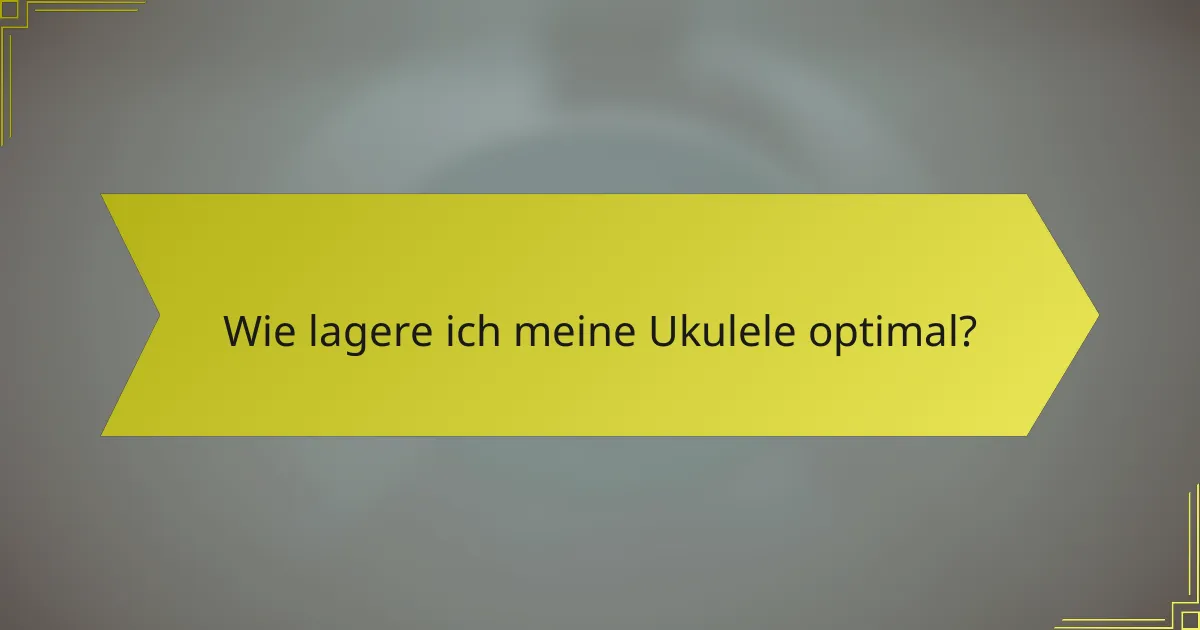Wie lagere ich meine Ukulele optimal?