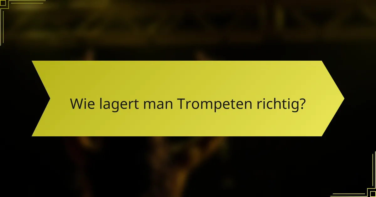 Wie lagert man Trompeten richtig?