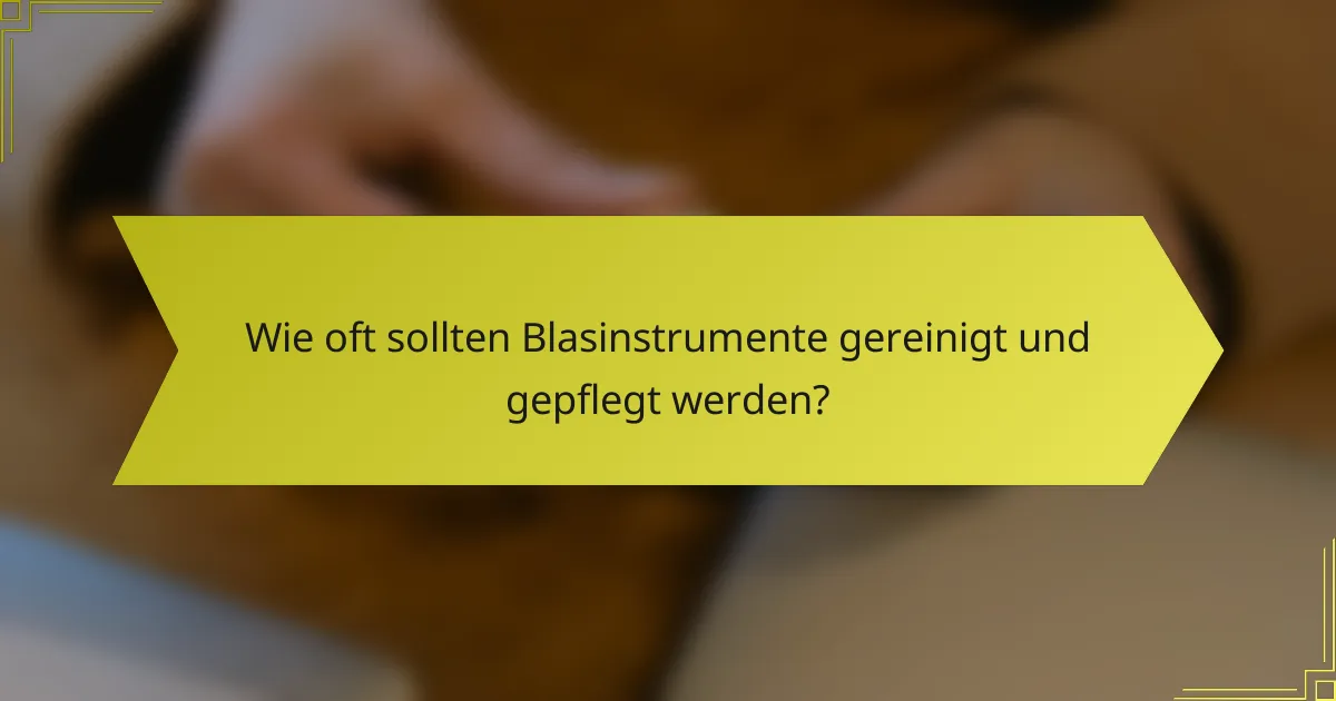 Wie oft sollten Blasinstrumente gereinigt und gepflegt werden?