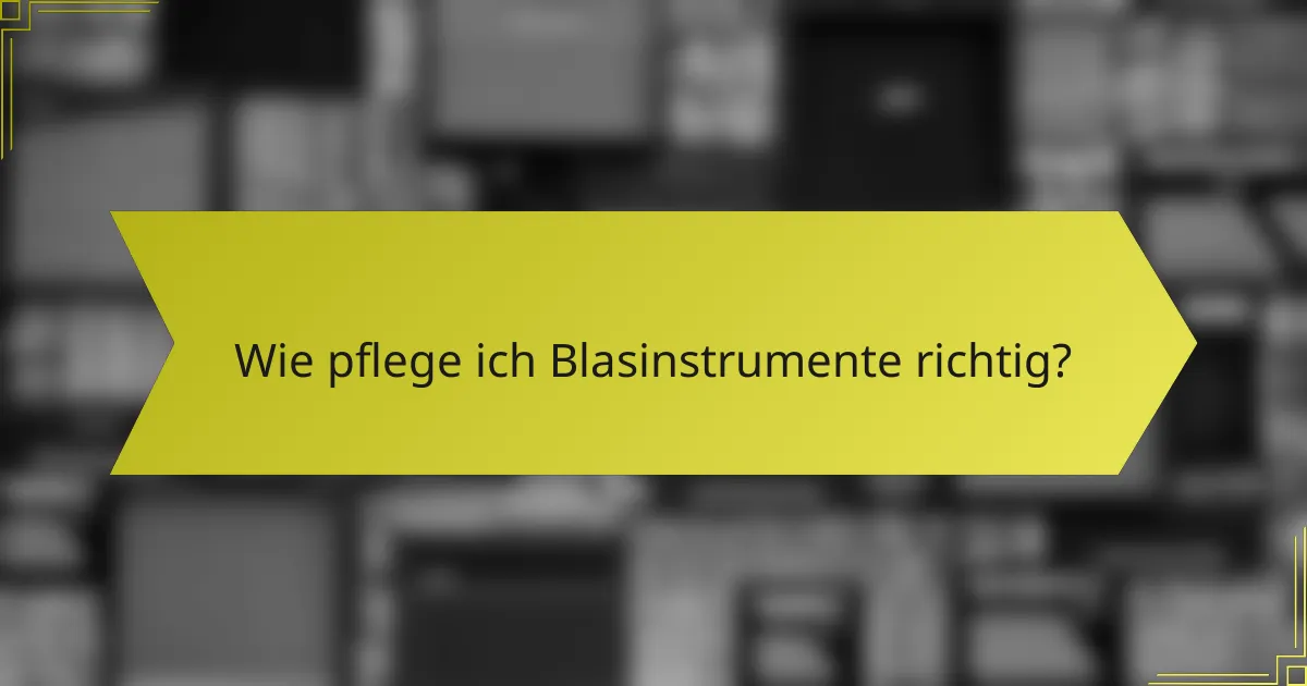 Wie pflege ich Blasinstrumente richtig?