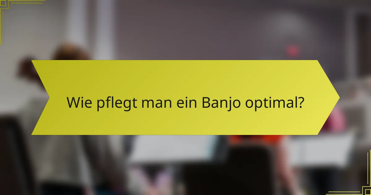 Wie pflegt man ein Banjo optimal?