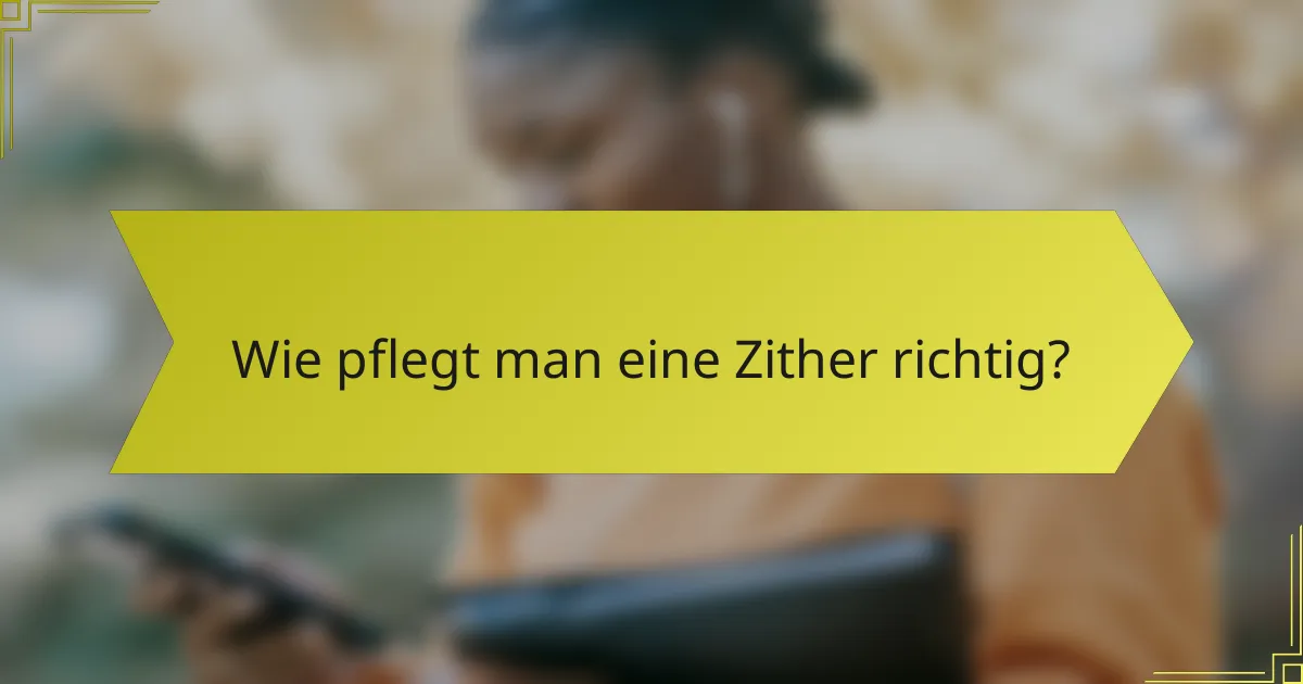 Wie pflegt man eine Zither richtig?