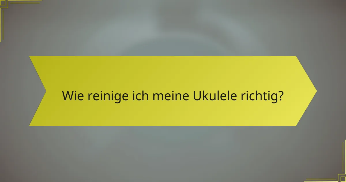 Wie reinige ich meine Ukulele richtig?