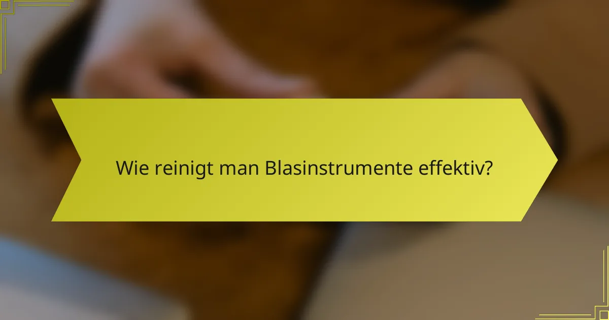 Wie reinigt man Blasinstrumente effektiv?