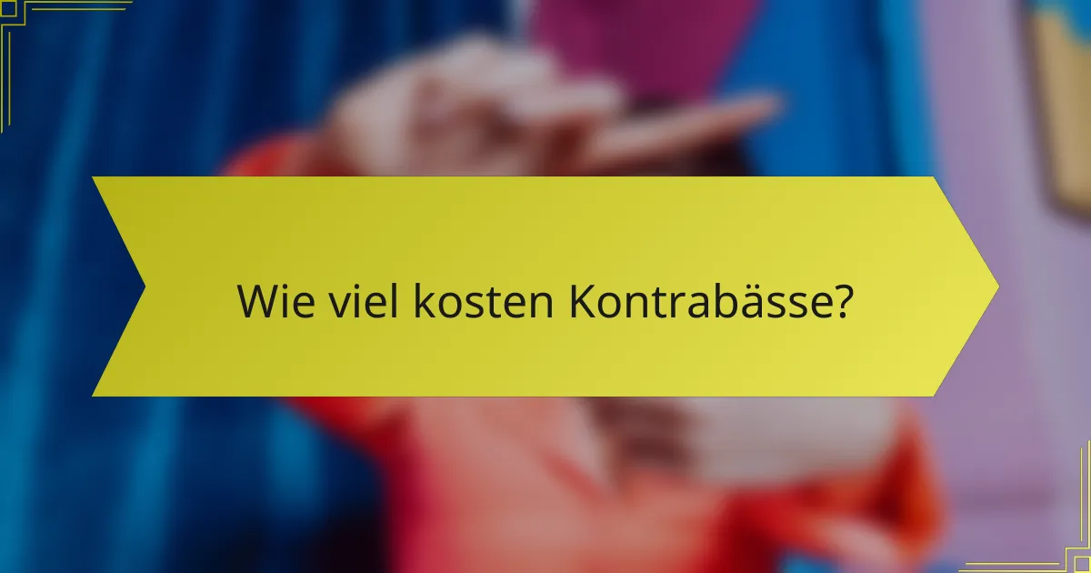 Wie viel kosten Kontrabässe?