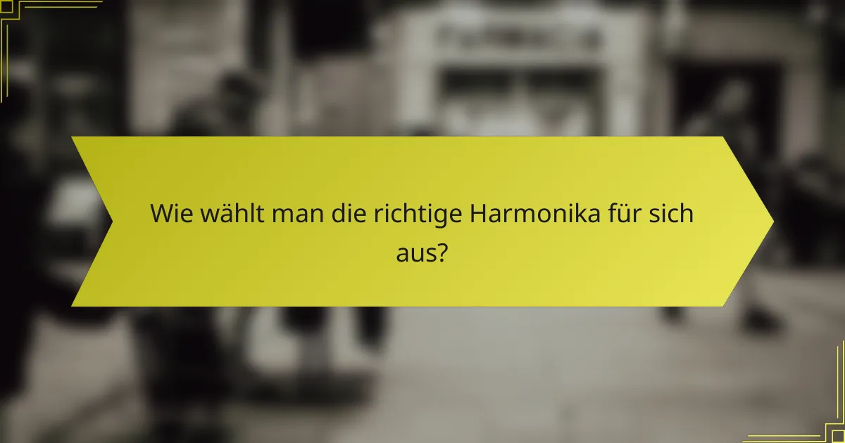 Wie wählt man die richtige Harmonika für sich aus?