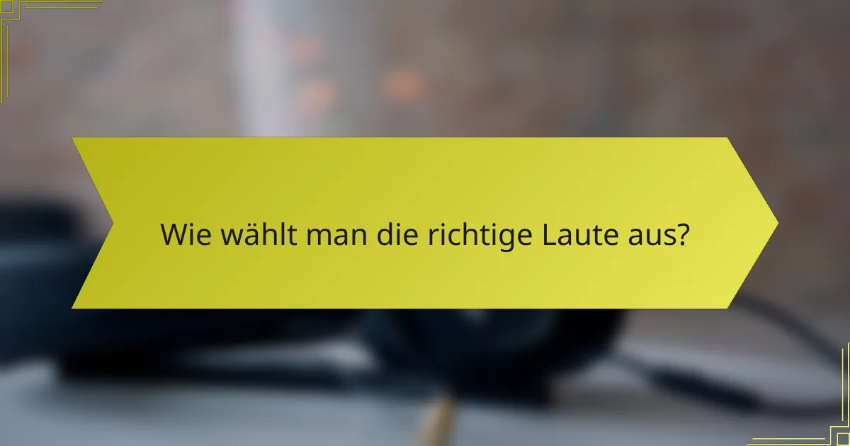 Wie wählt man die richtige Laute aus?