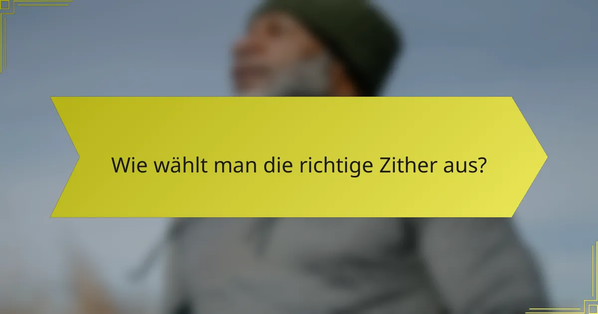 Wie wählt man die richtige Zither aus?