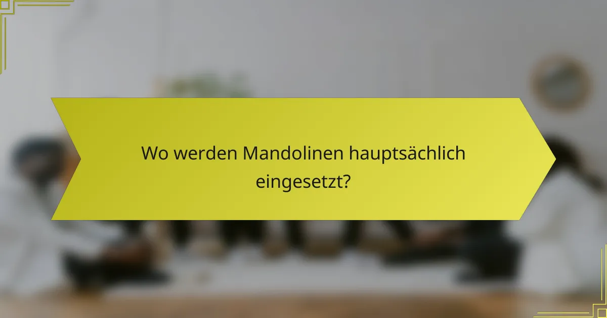 Wo werden Mandolinen hauptsächlich eingesetzt?